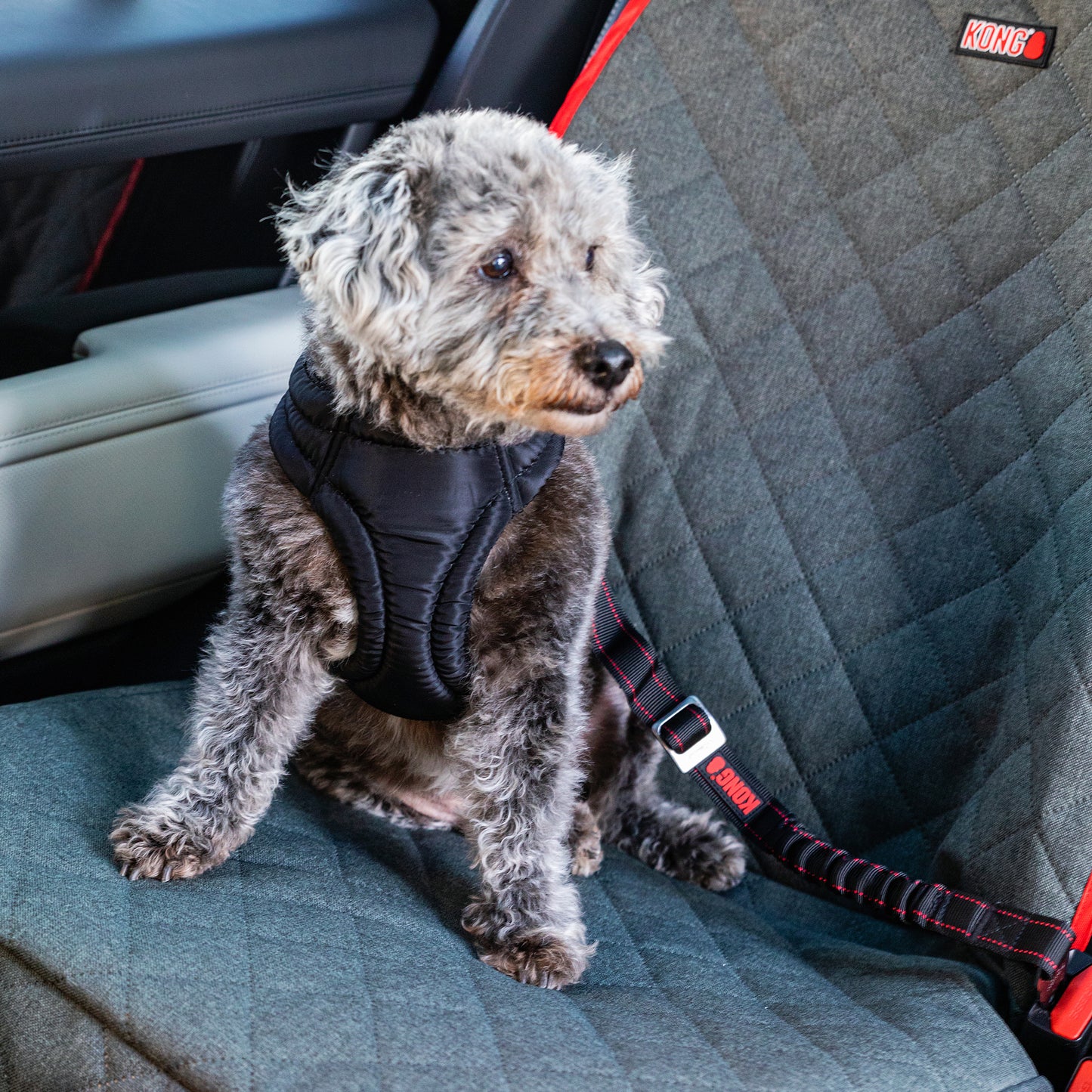 KONG Deluxe Swivel Tether Perros Cinturón de Seguridad Mosquetón Giratorio
