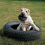 Kong Tires Juguete Dispensador de Premios para Perros