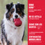 KONG Classic Large (L) para Perros – Juguete Interactivo Rellenable