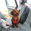 KONG Car Seat Cover & Hammock Protector de Asiento para Perros