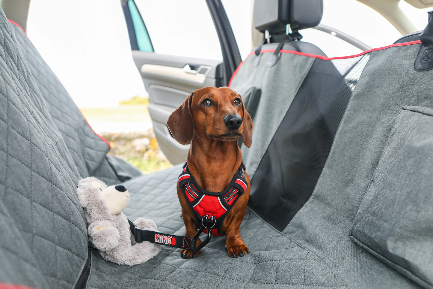 KONG Car Seat Cover & Hammock Protector de Asiento para Perros