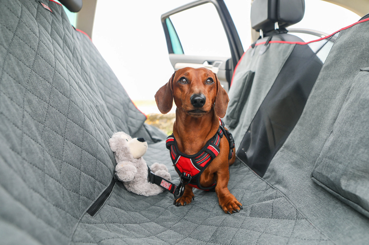 KONG Car Seat Cover & Hammock Protector de Asiento para Perros