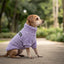 Pet Lounge Corderito Color Lila Perros y Gatos