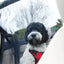 KONG Protective Seat Barrier Barrera para Auto de Perros