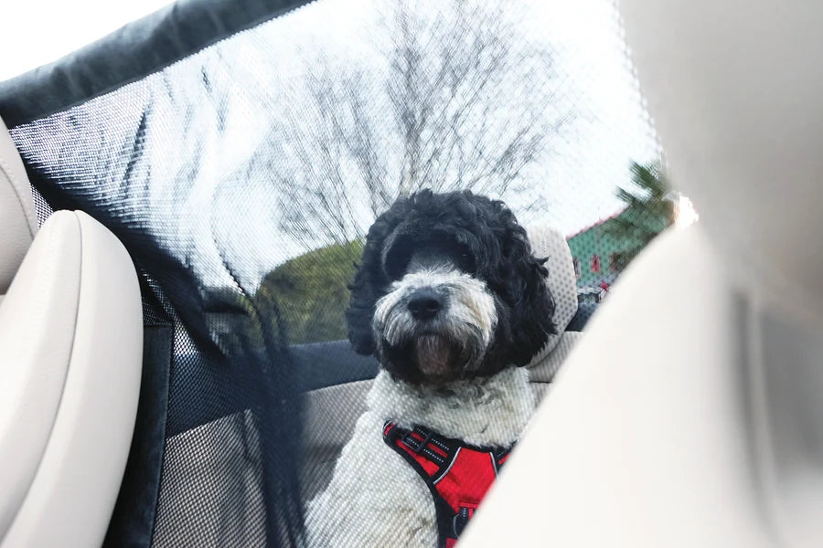 KONG Protective Seat Barrier Barrera para Auto de Perros