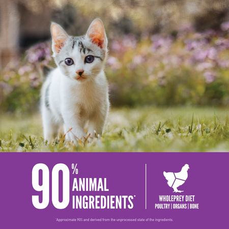 Orijen Kitten Formula 1.8 Kg