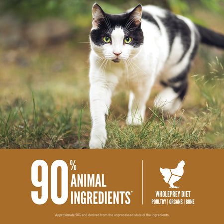 Orijen Original Cat 1.8 Kg