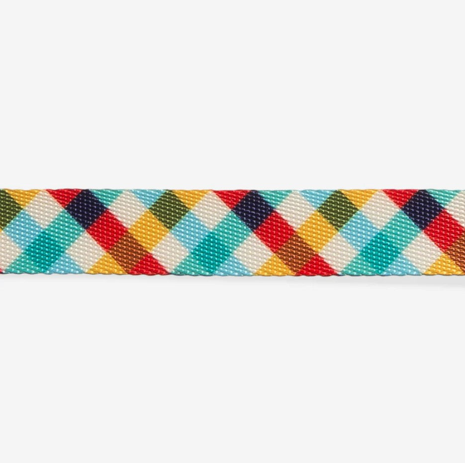 Zee Dog Collar Phantom