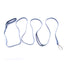Street Dogs Correa Perro PVC Impermeable Azul