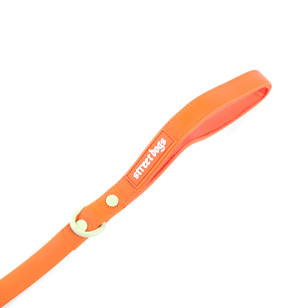 Street Dogs Correa Perro PVC Impermeable Naranja, vista 3