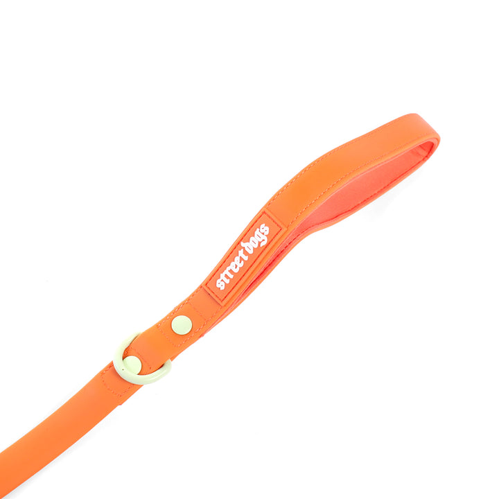 Street Dogs Correa Perro PVC Impermeable Naranja, vista 3