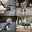 Pet Lounge Parka Dry and Comfy Perros y Gatos Gris