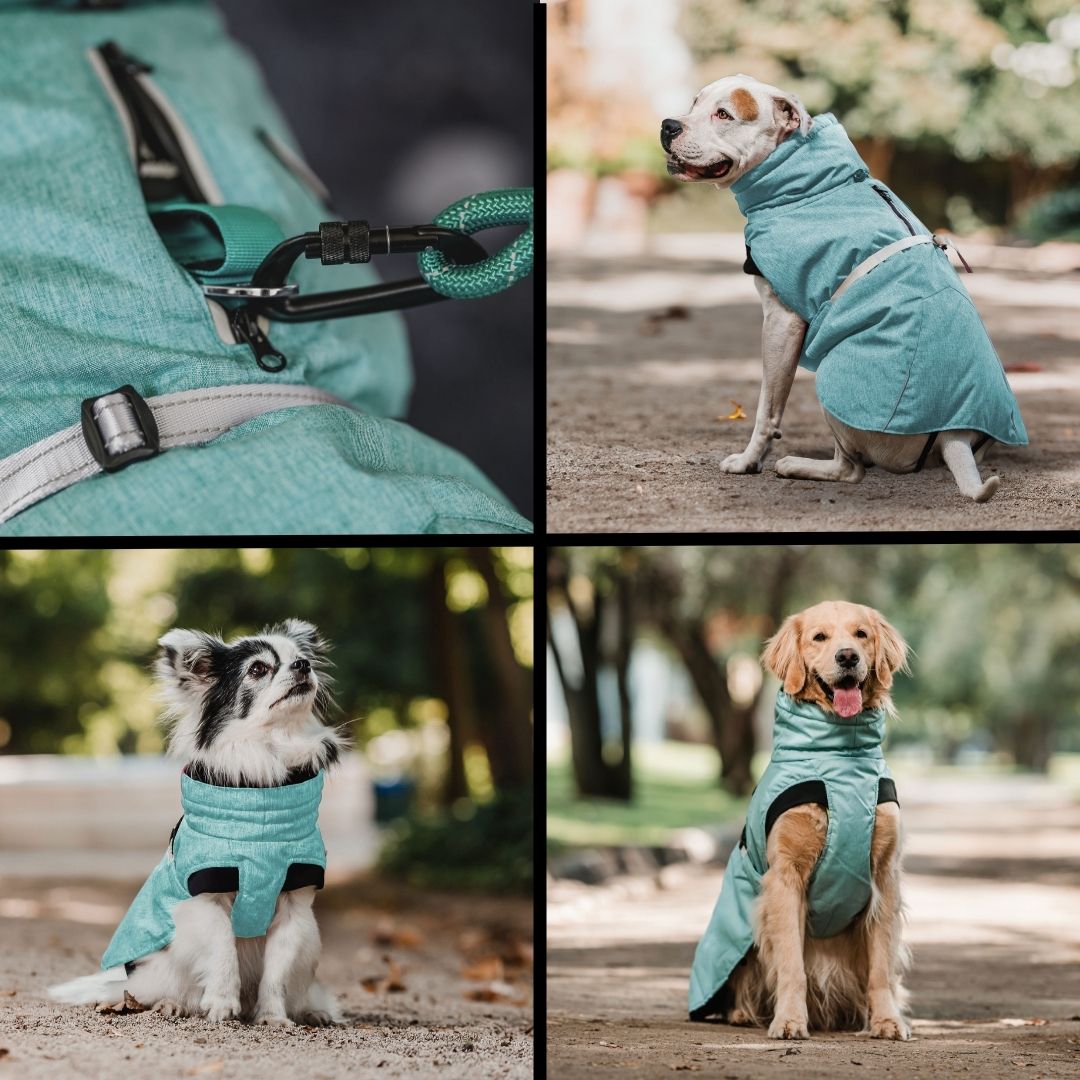 Pet Lounge Parka Dry and Comfy Perros y Gatos Celeste Menta