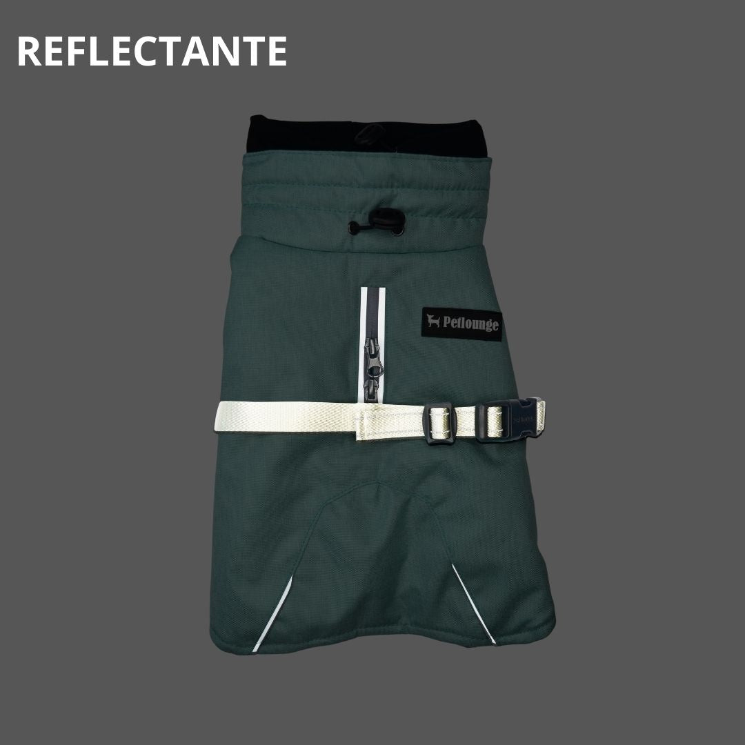 Pet Lounge Parka Dry and Comfy Perros y Gatos Celeste Menta