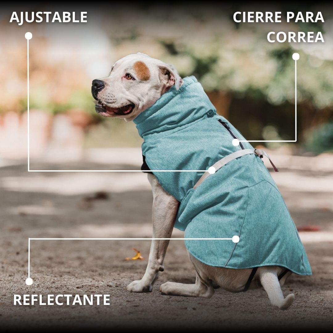 Pet Lounge Parka Dry and Comfy Perros y Gatos Celeste Menta