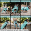 Pet Lounge Parka Dry and Comfy Perros y Gatos Celeste Menta