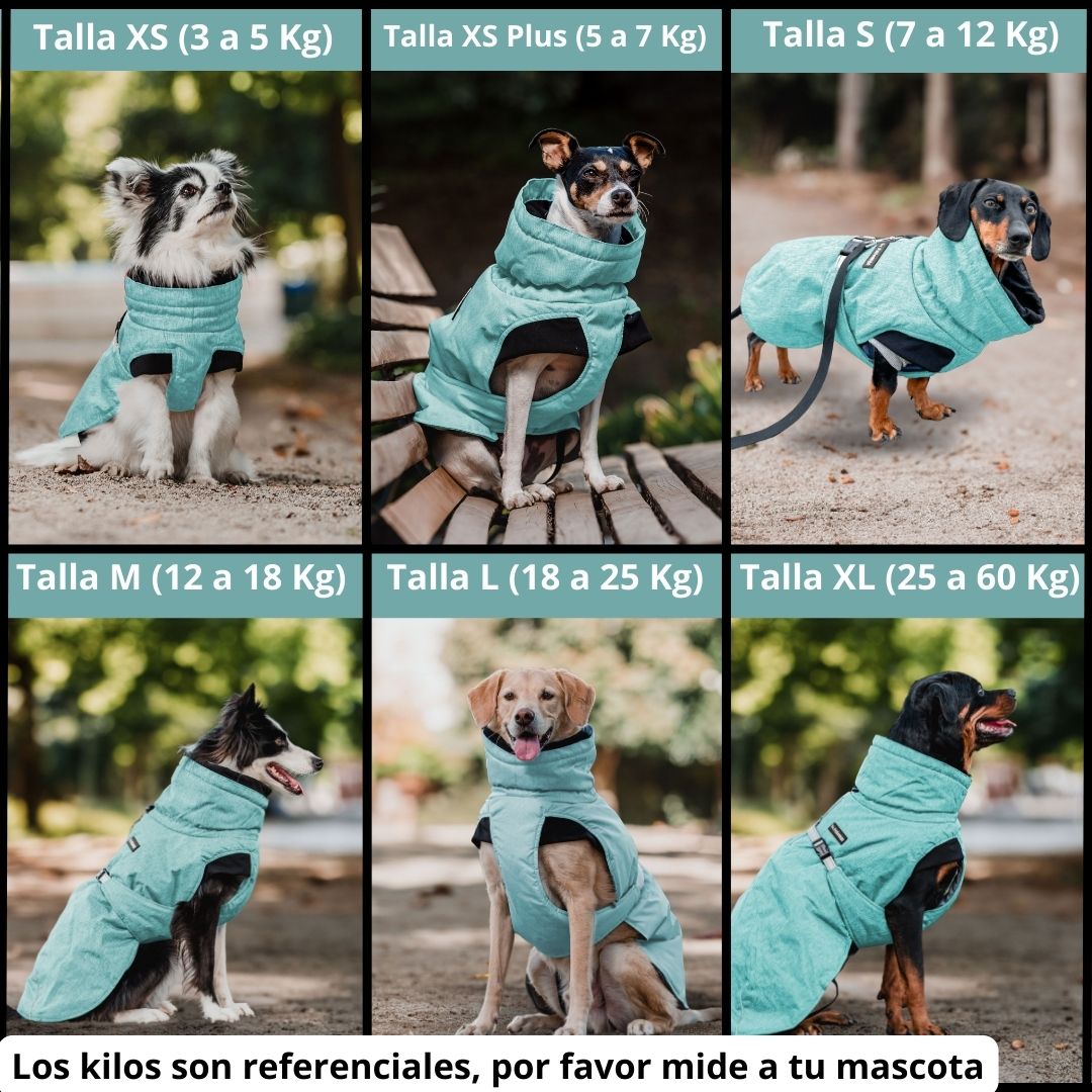 Pet Lounge Parka Dry and Comfy Perros y Gatos Celeste Menta