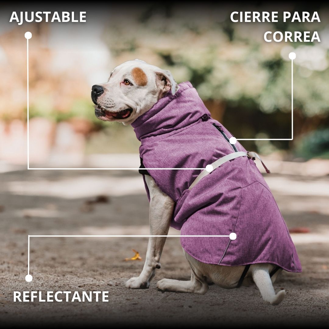 Pet Lounge Parka Dry and Comfy Perros y Gatos Morada