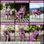 Pet Lounge Parka Dry and Comfy Perros y Gatos Morada