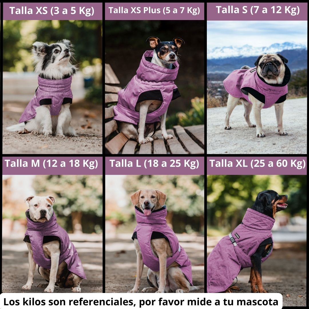 Pet Lounge Parka Dry and Comfy Perros y Gatos Morada