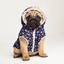 Parka Impermeable con Chiporro y Gorro Azul Perros y Gatos