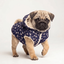 Parka Impermeable con Chiporro y Gorro Azul Perros y Gatos