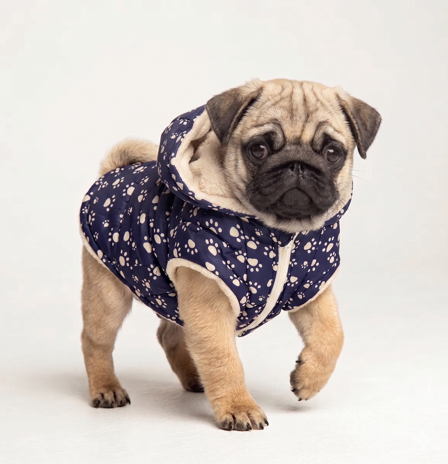 Parka Impermeable con Chiporro y Gorro Azul Perros y Gatos