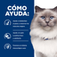 Hill's Prescription Diet Gato r/d 1.8 Kg