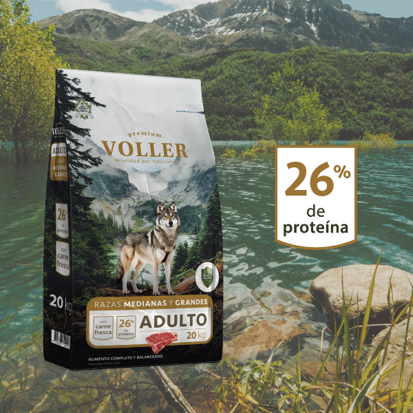 Voller Premium Perro Adulto Sabor Carne 20 Kg