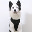 Zee Dog Arnés Ajustable REEBOK Air Mesh Court