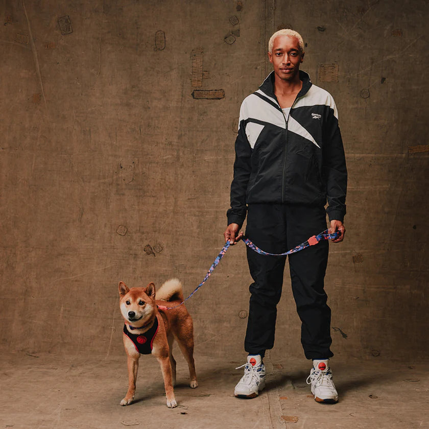 Zee Dog Arnés Ajustable REEBOK Air Mesh Court