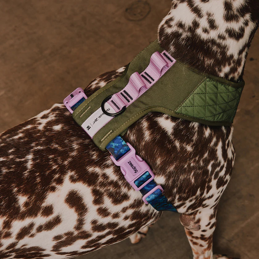 Zee Dog Arnés Ajustable REEBOK Air Mesh Trekk