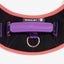 Zee Dog Arnés Flyharness Reebok Court