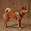 Zee Dog Arnés Flyharness Reebok Suede