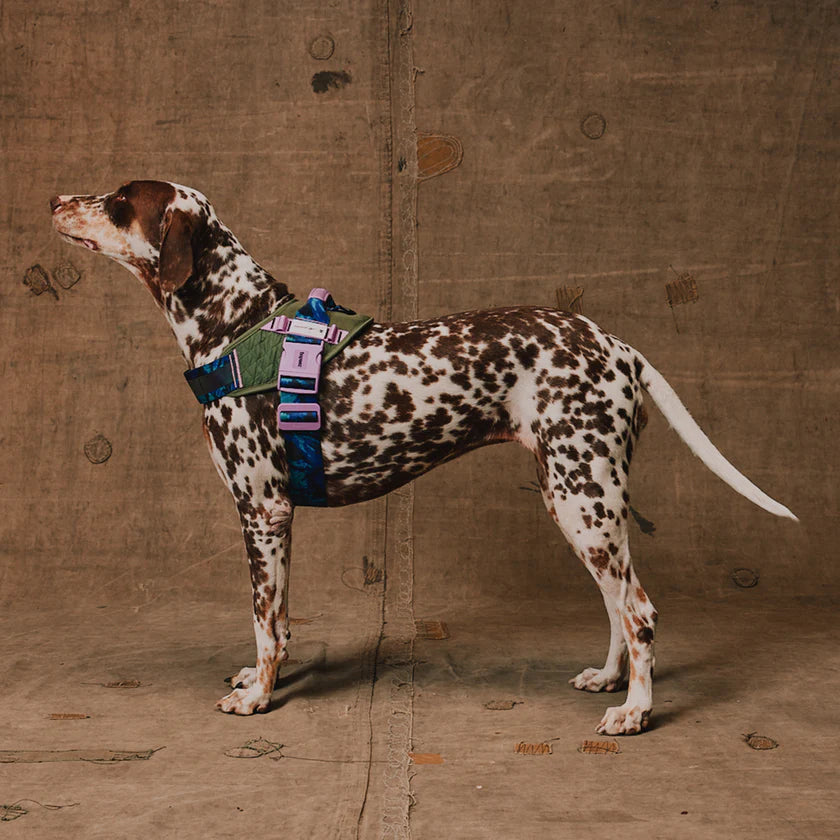 Zee Dog Arnés Flyharness Reebok Trekk