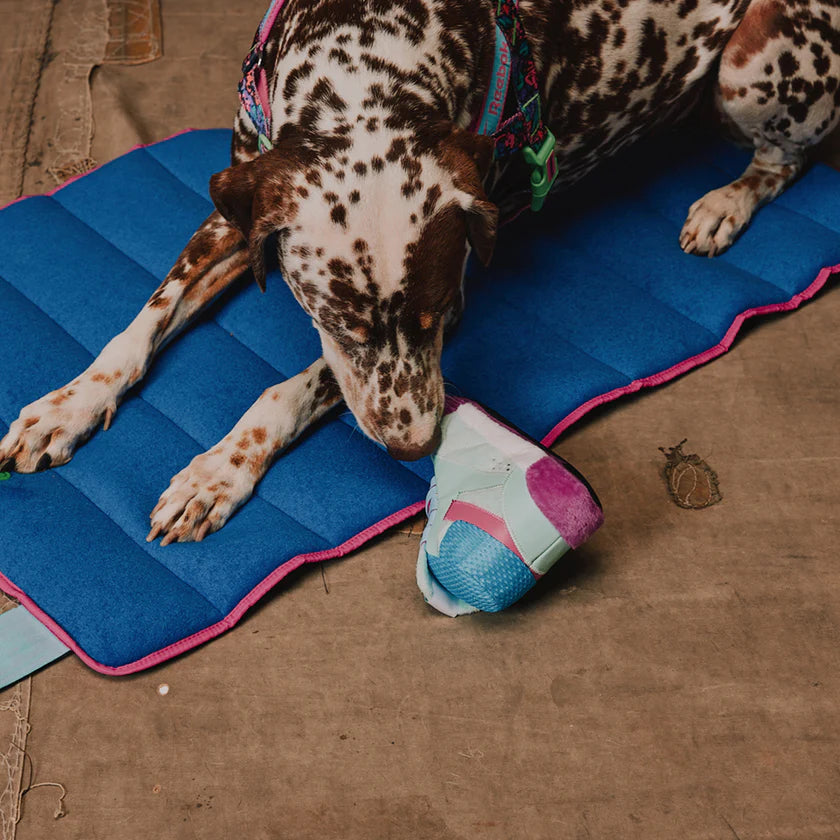 Zee Dog Juguete de Peluche Zapatilla Reebok Celeste