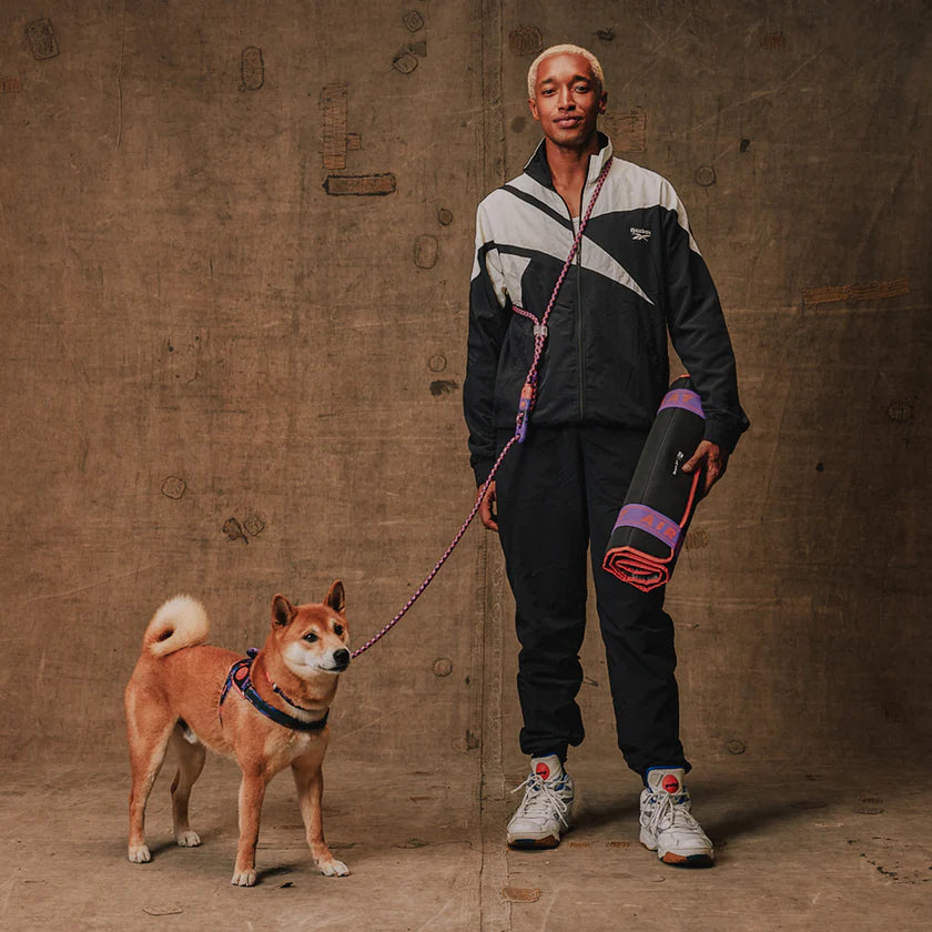 Zee Dog Correa Handsfree REEBOK Court