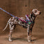 Zee Dog Arnés Anti Tirones Softer-Walk Reebok Aerobic