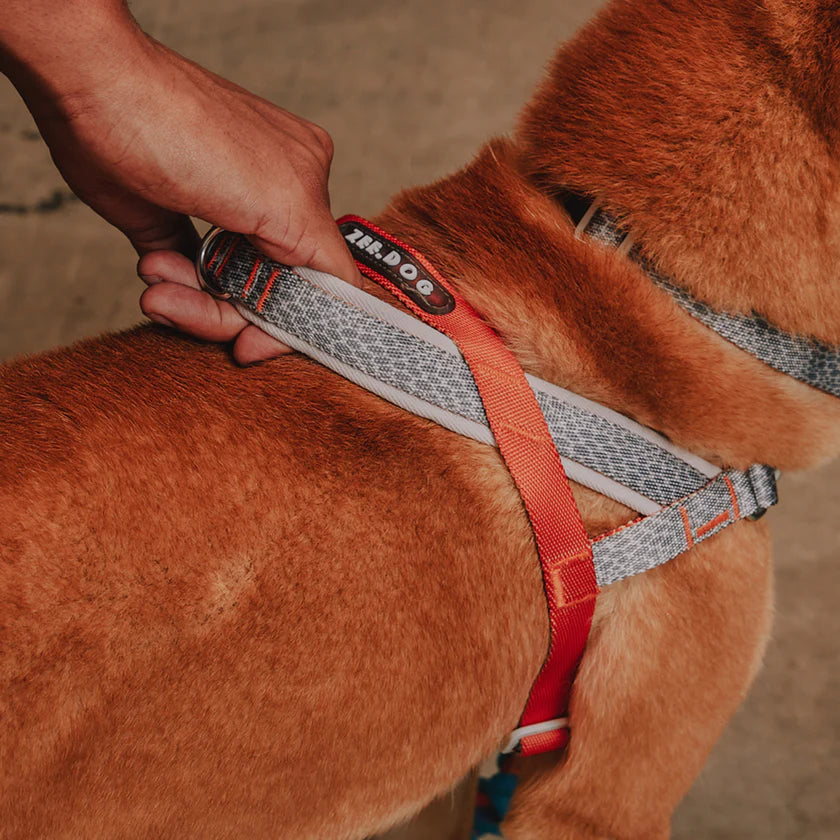 Zee Dog Arnés Anti Tirones Softer-Walk Reebok Suede