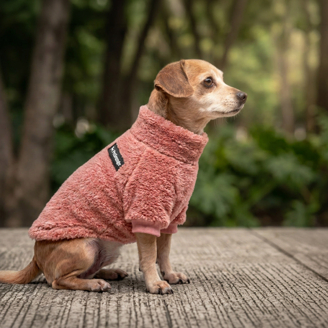 Pet Lounge Corderito Color Rosado Perros y Gatos