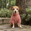 Pet Lounge Corderito Color Rosado Perros y Gatos
