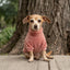 Pet Lounge Corderito Color Rosado Perros y Gatos