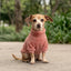 Pet Lounge Corderito Color Rosado Perros y Gatos