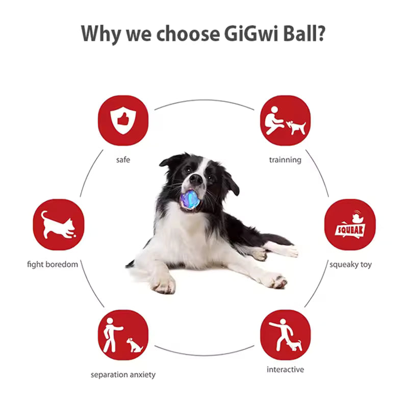 Gigwi Juguete Pelota G Bounce Naranja