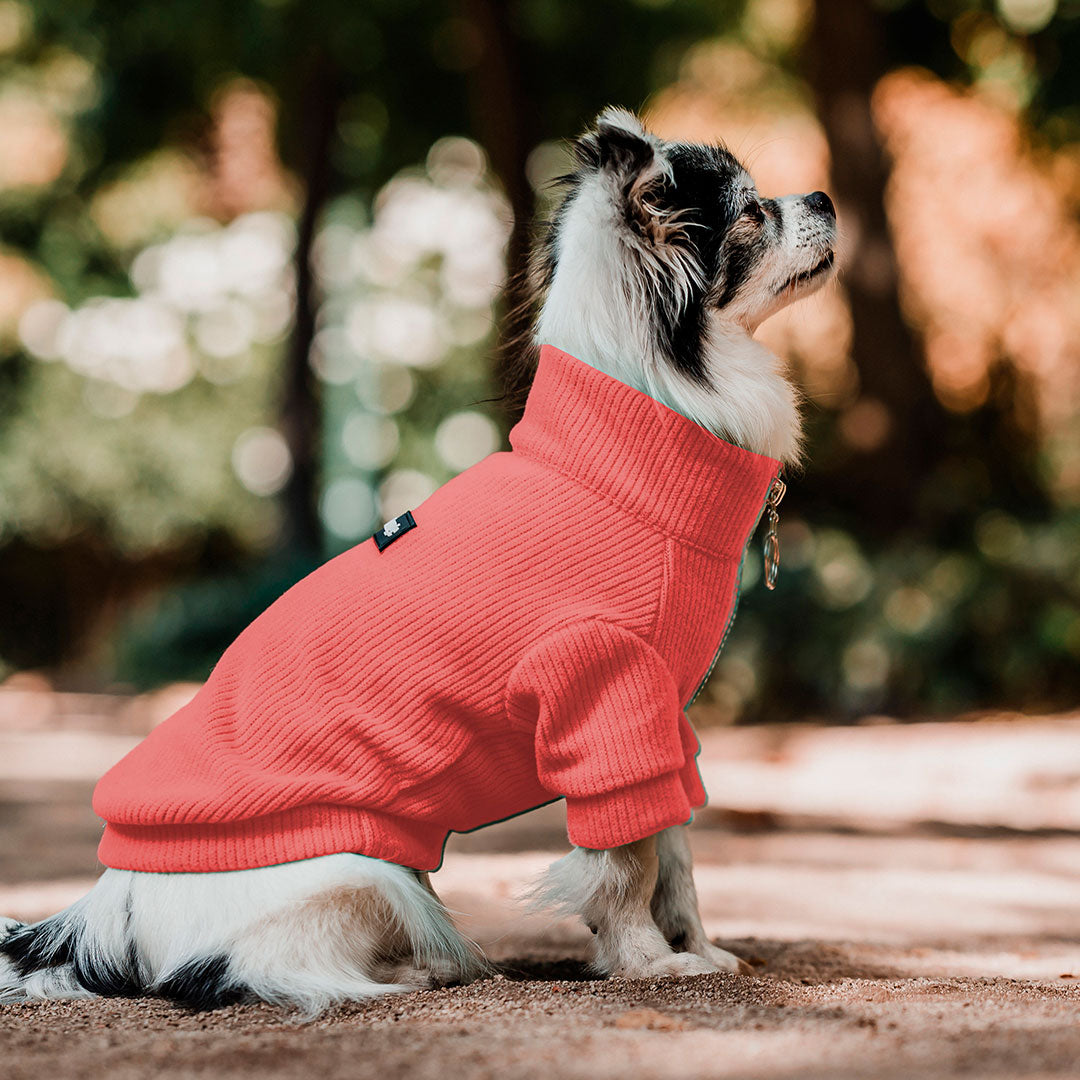 Pet Lounge Sweater Color Sandía Perros y Gatos