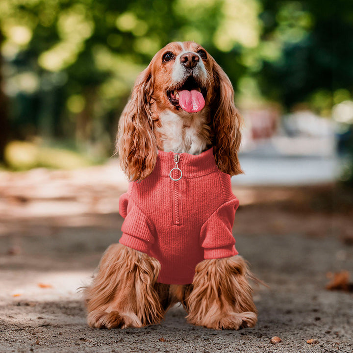 Pet Lounge sweater sandía perro usando producto vista completa