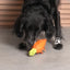 Zee Dog Super Carrot