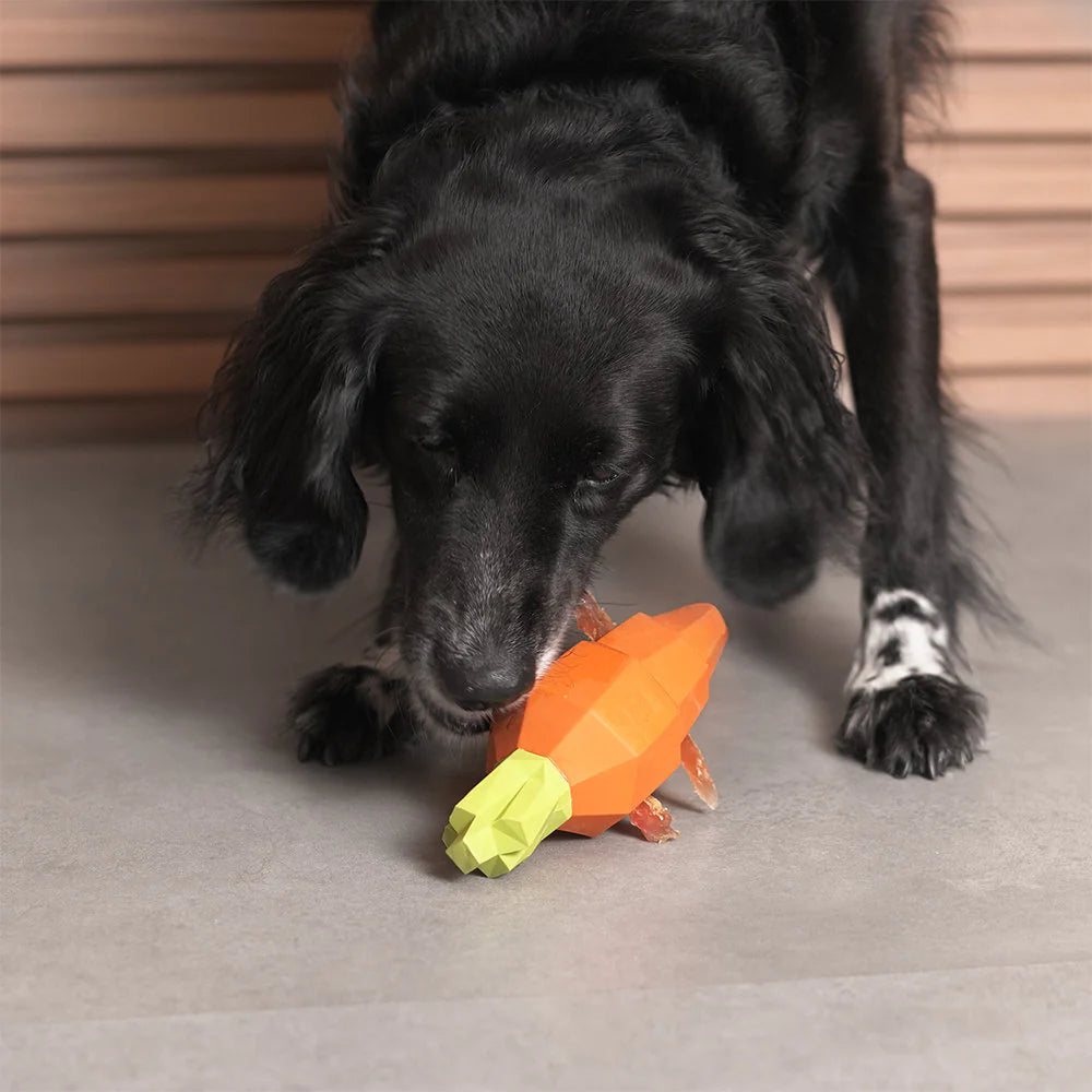 Zee Dog Super Carrot