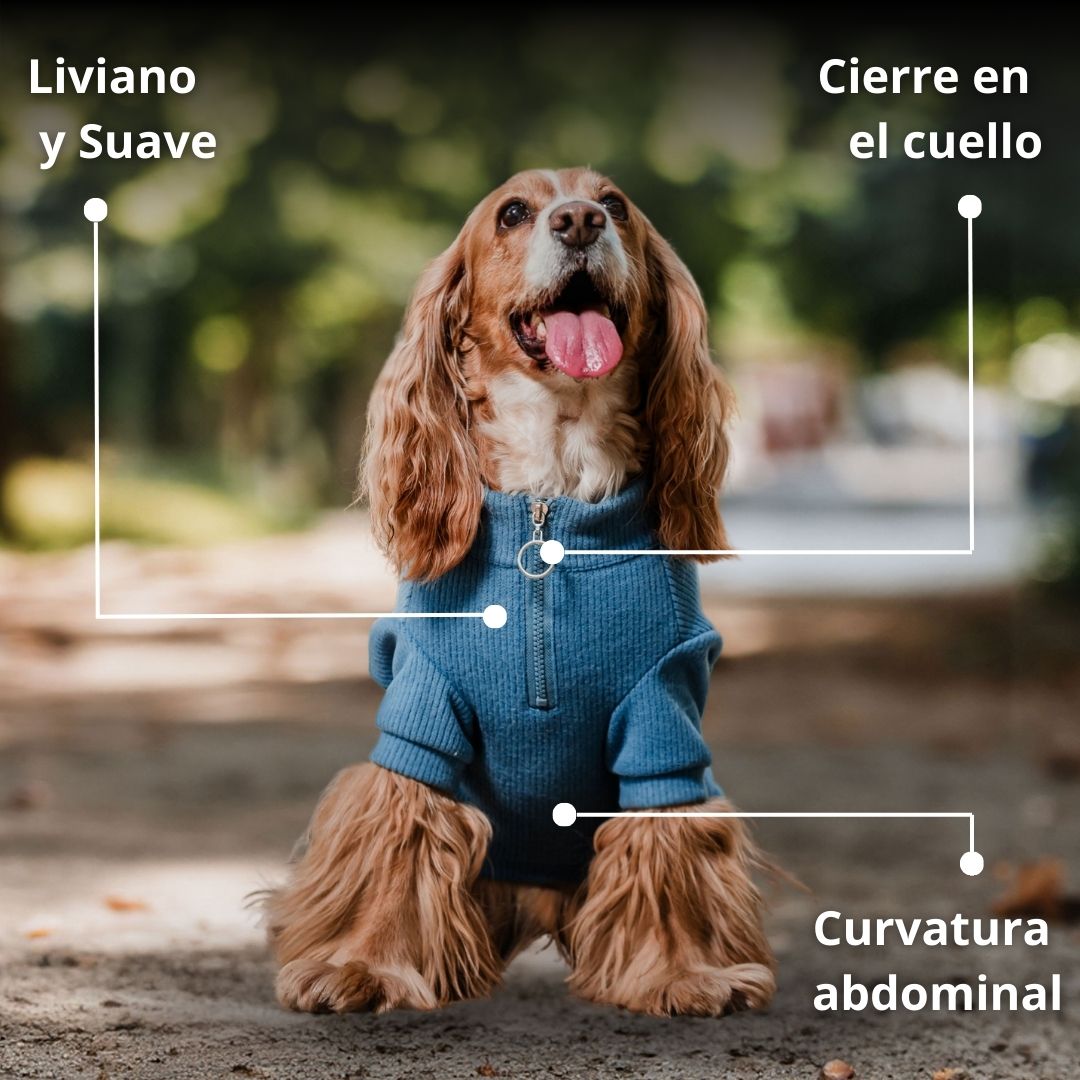 Pet Lounge Sweater Color Azul Perros y Gatos