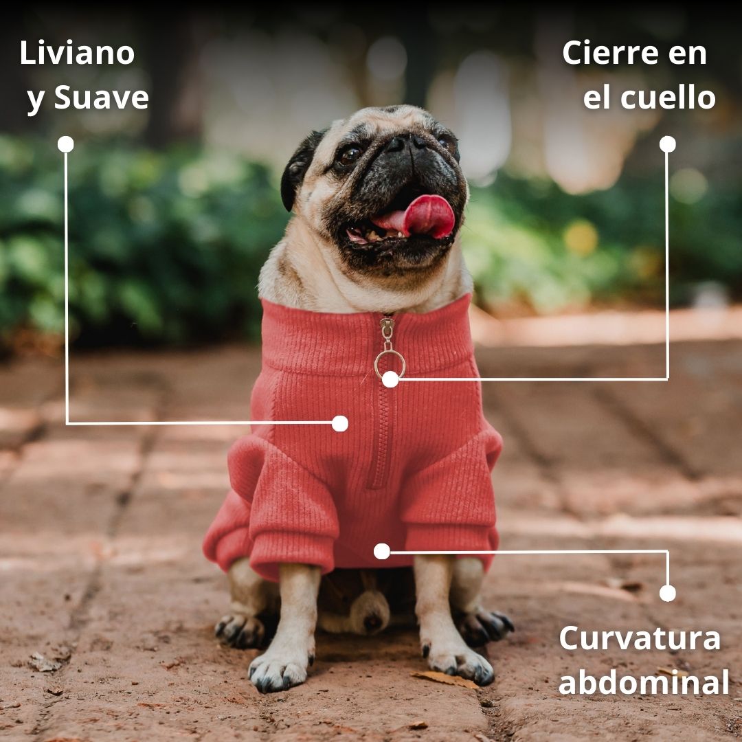 Pet Lounge Sweater Color Sandía Perros y Gatos